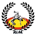 RiM logo